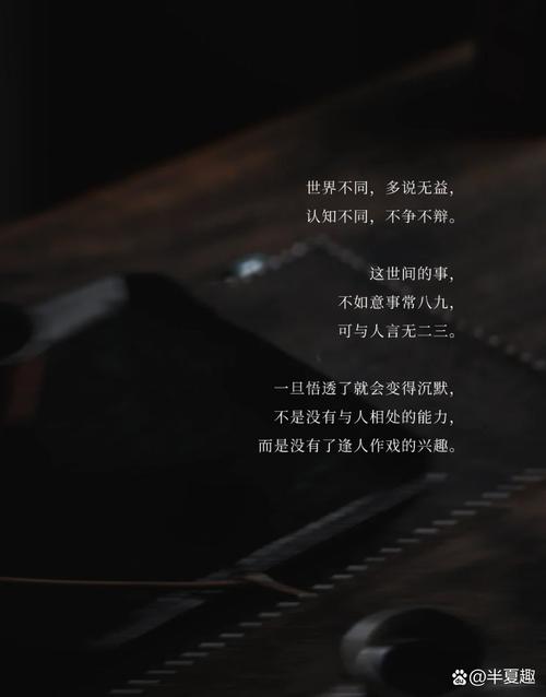 我本沉默本飞扬服务端_我本沉默_沉默本身就是一种回答