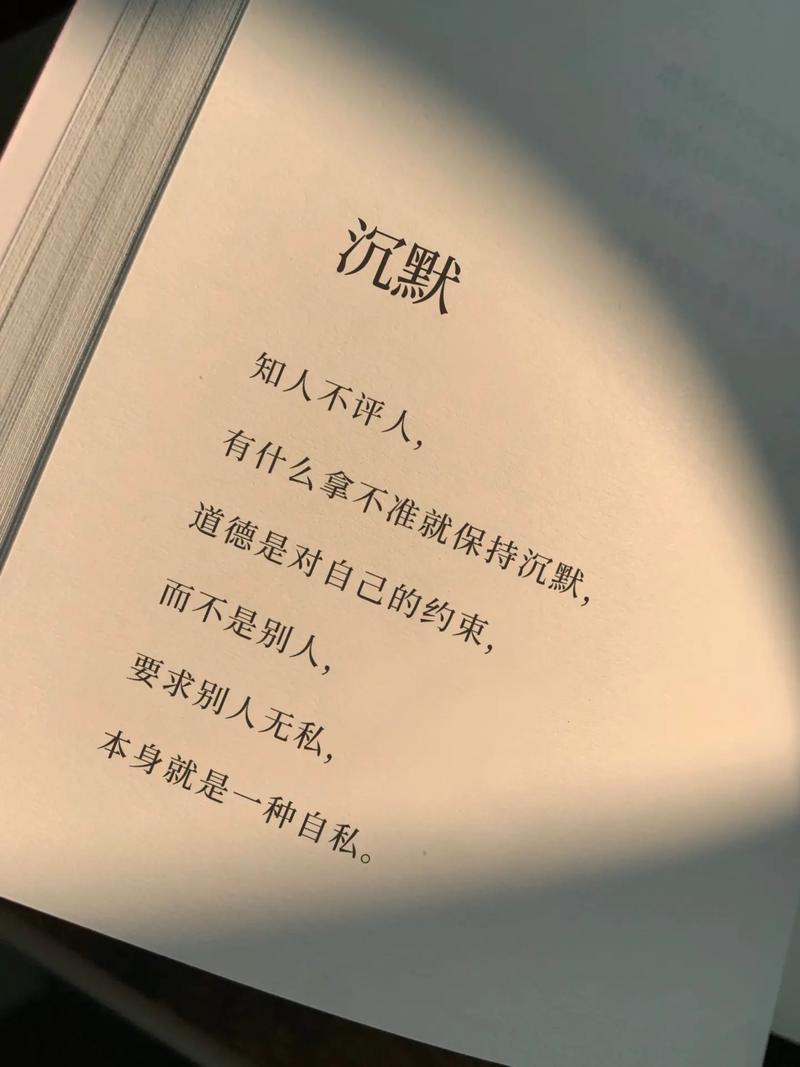 我本沉默_我本沉默本飞扬传奇_沉默本身就是一种回答