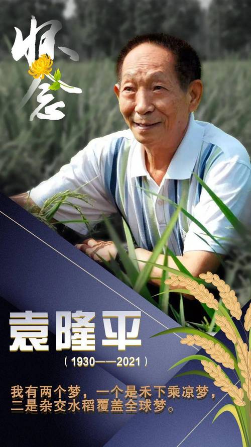 沉默本身就是一种回答_我本沉默_我本沉默本飞扬吧