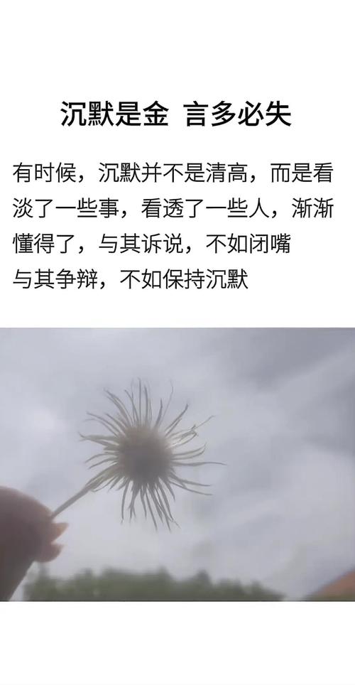我本沉默_毁灭之史2017本沉默_都怪我不该沉默时沉默
